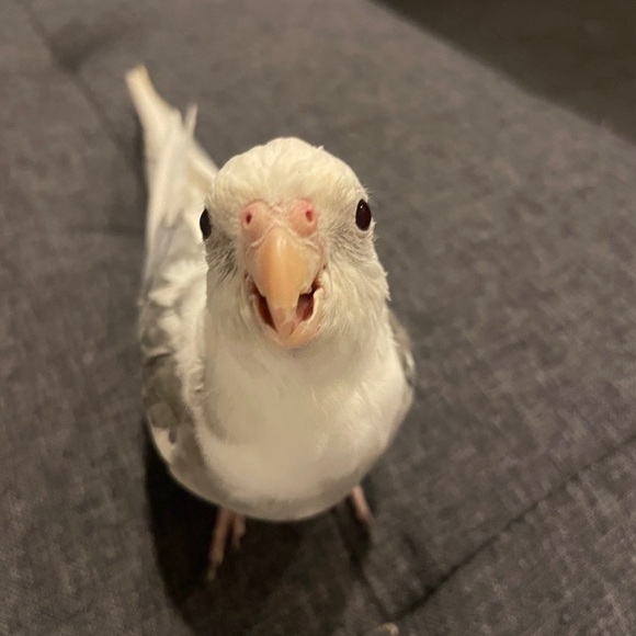 make me offers🙂 - Picture 2 of 2